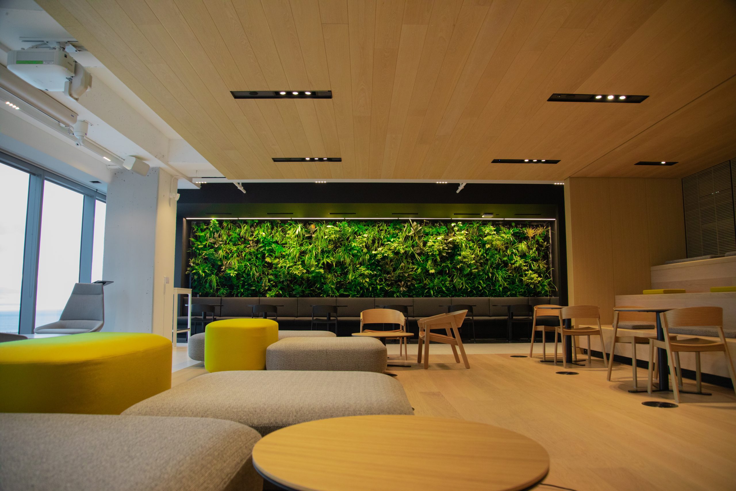 Investment Bank Plant Wall