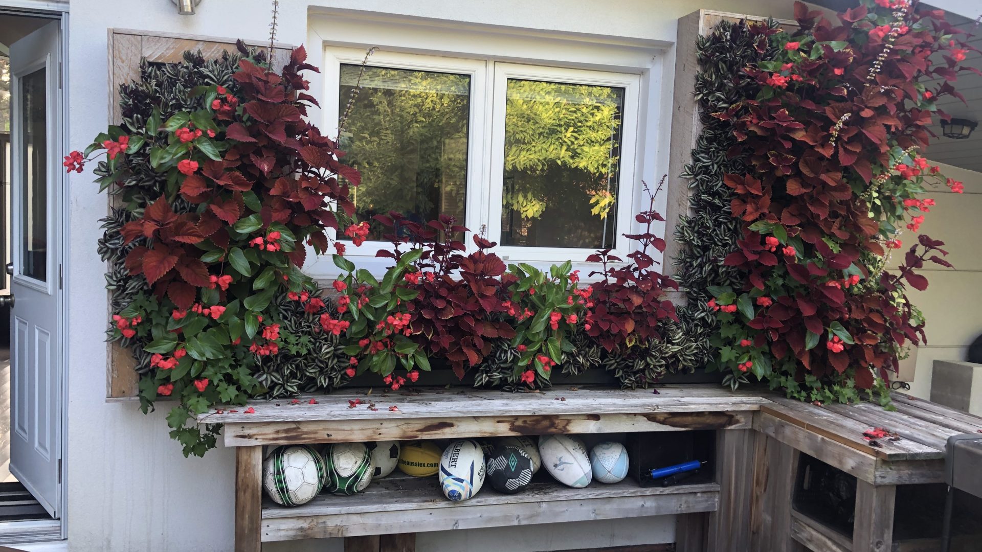 Private Residence Living Wall