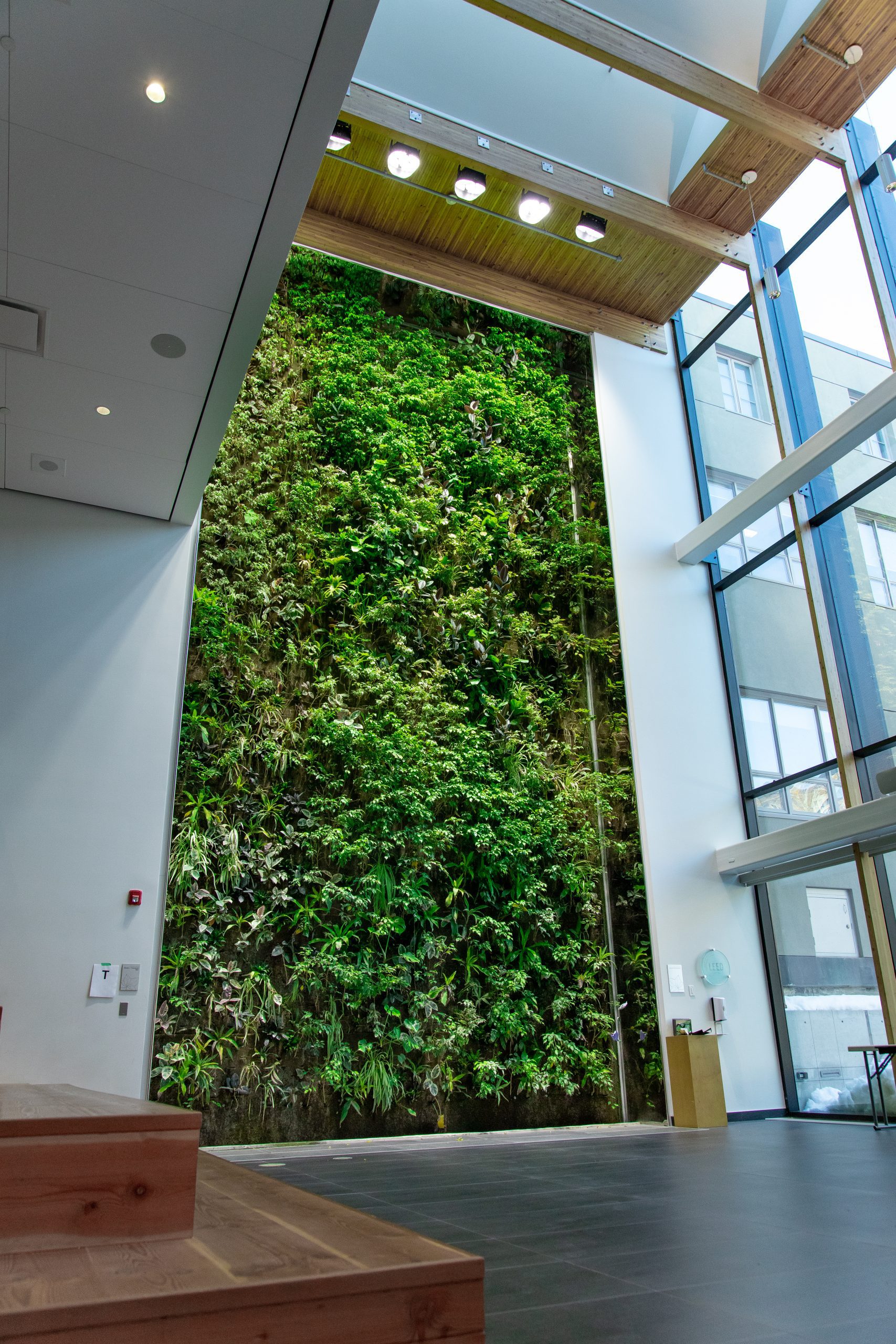 Private Academy Living Wall