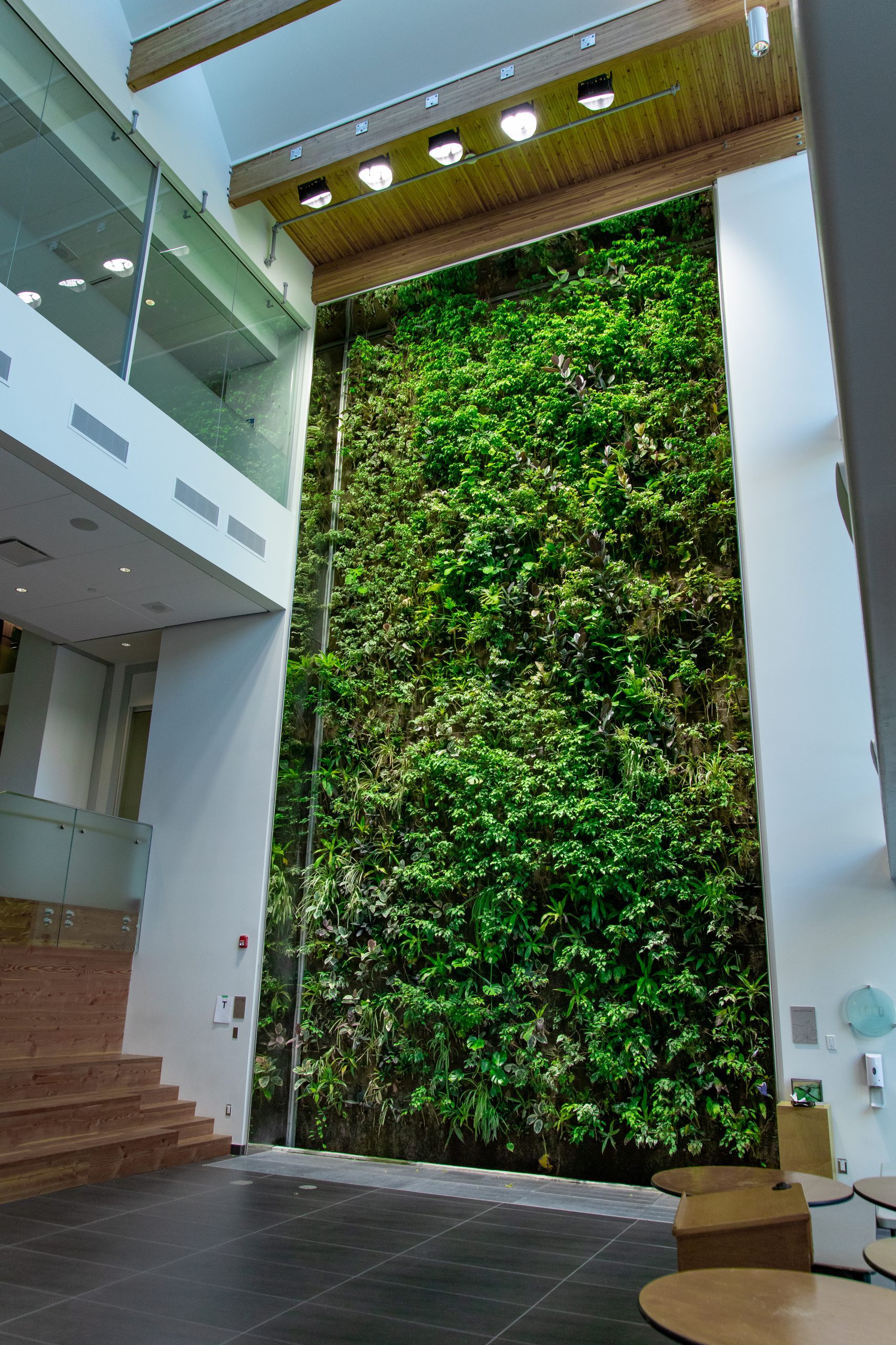 Private Academy Living Wall