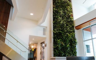 What Is A Biofilter Living Wall?