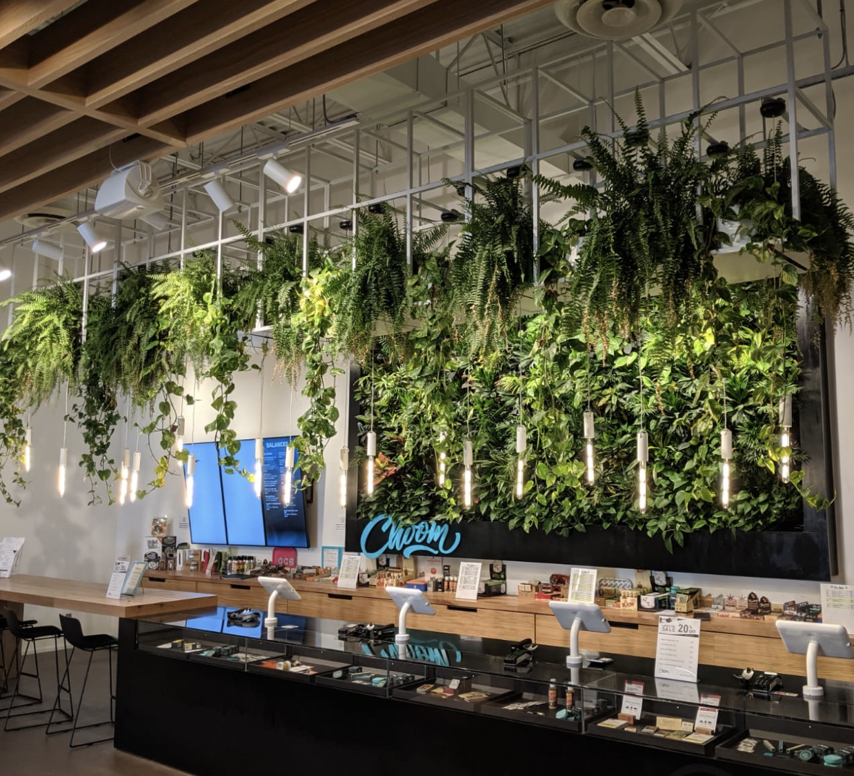 Hanging planters in retail