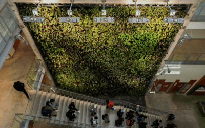 University of Windsor’s Biofilter Living Walls: A Breath of Fresh Air for Campus Sustainability